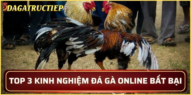 Hội viên cần nắm vững những bí quyết riêng 