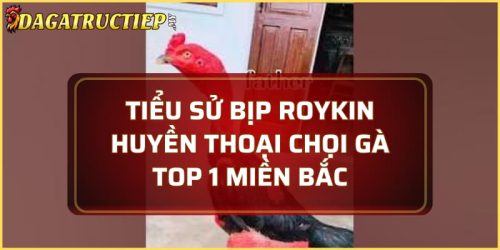 Tiểu sử Bịp Roykin