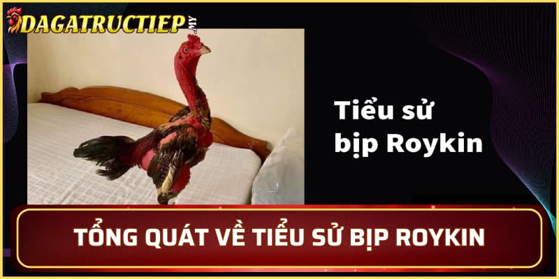 Tổng quát về tiểu sử Bịp Roykin